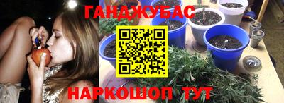 бошки Краснознаменск