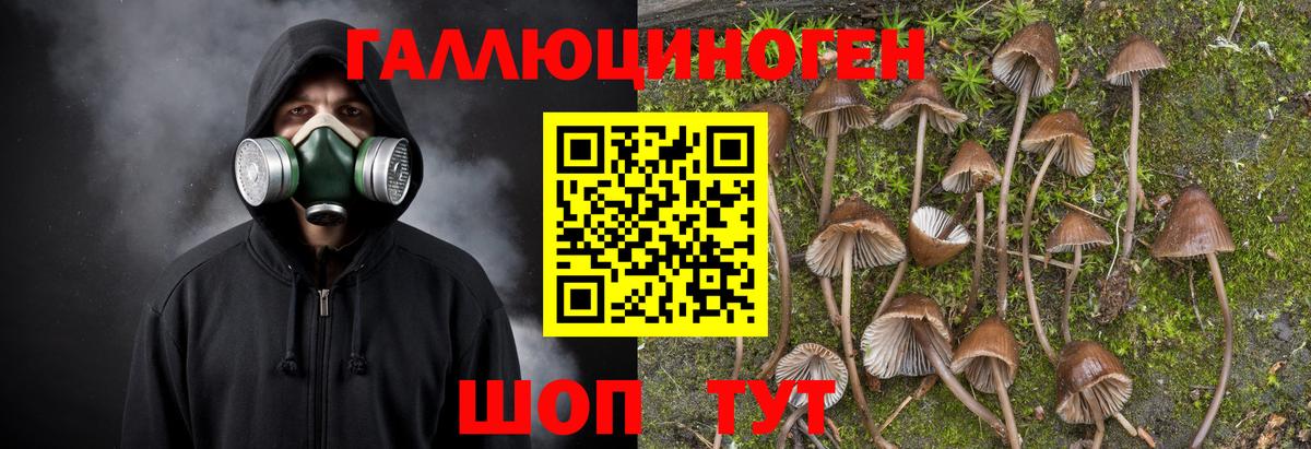 Псилоцибиновые грибы ЛСД  Вход с VPN  Жигулёвск 